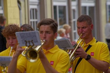 ak250137 ak2024x72 klein