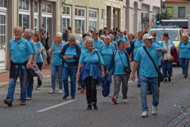 ak250210 ak2024x72 klein