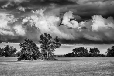 bild wolke axel
